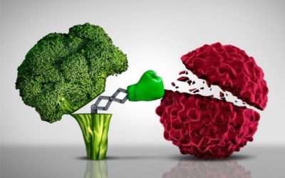 Alimentación y sistema inmune.